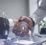 Лавров и Махонин обсудили международное сотрудничество Пермского края - GlobalPerm.Ru