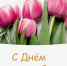 С Днем кадровика. - Колосовский муниципальный район
