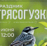 Встречаем лето «Праздником Трясогузки» – 1 июня в «Торум Маа»! - Этнографический музей Торум Маа