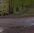 image - GazetaRB.Ru