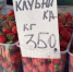 Кубанская клубника дешевеет — липецкая на подходе - Gorod48.ru