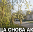 В Задонске сохраняется высокая активность пыльцы: аллергикам советуют быть осторожнее - Газета Задонская правда