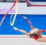 Исполком European Gymnastics вернул флаг и гимн российским спортсменам - Вечерняя Москва