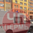 В центре Перми на женщину с ребенком упало дерево. - VikiPerm.Com
