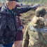 В Гатчинском округе презентовали конные патрули областной экомилиции - 47Channel.Ru