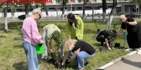 В Белгороде у стен драматического театра появилась рябиновая аллея - Belnovosti.Ru