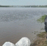 Дорожники выпустили около 185 тысяч тысяч личинок щуки. - Новгородские Ведомости