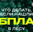 Нашли дрон в лесу? Рассказываем, что делать. - Великоустюгский муниципальный округ