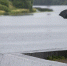 Фото: ПАИ - InformPskov.Ru