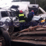 В Подмосковье столкнулись 13 автомобилей - M24.Ru