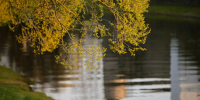 Фото: ПАИ - InformPskov.Ru