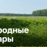 Правила поведения в лесу - Администрация Искитимского района