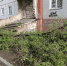 В Абакане возле дома упало дерево - ИА Хакасия