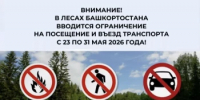 В Башкирии ограничат посещение лесов до конца мая - Янаульский район