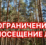 Глава Тольятти обратился к гражданам с просьбой воздержаться от посещения леса - Городские Ведомости