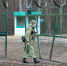Украина готовит круговую оборону около границы с Белоруссией - Комсомольская Правда