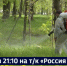 Смотрите в 21:10. В крае – пик активности клещей, общее число пострадавших уже около двух тысяч - ГТРК Дальневосточная