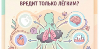 Вы всё ещё думаете, что курение вредит только лёгким? - Народное слово