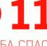 В Ленинградской области начался сезон лесных «потеряшек» - Кингисепп-сегодня.рф