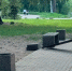 Неизвестные сломали лавочку в лесопарке Людинова - Телерадиокомпания Ника
