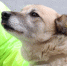 0Zoc7WaAlPKXuC6GQfFNX_shOlZ57L_Kqn80HabnhXhsNCtngkUEz-P367UTkMrZtvUwuogFLYLGoD2wqJOMzc3v.jpg - Городской округ Отрадный