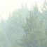 img - ТКР
