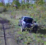 Операторы FPV-дронов сорвали подвоз боеприпасов ВСУ на передовой - Газета Краснодарские известия