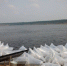 Более 30 миллионов мальков ценных рыб выпустят в водоемы Якутии в 2026 году - Yakutia-Daily.Ru