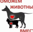 Когда цена жизни – 50 рублей - Nk-Tv