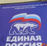 Началось предварительное голосование «Единой России» - ИА Нижний сейчас
