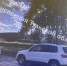 Автоледи на Volkswagen сбила женщину на пешеходном переходе в Щекине - ИА Тульская служба новостей