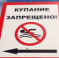 В Чемальском районе действует запрет на купание в Катуни и в других реках - Чемальский район