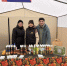 1.png - Управление промышленности