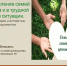 Состоялся учебно-методический семинар для руководителей дошкольных образовательных учреждений - Управление социальной политики