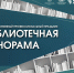 Неделя библиотек в Кузбассе: межведомственный профессиональный праздник «Библиотечная панорама – 2026» - Научная библиотека им. В.Д. Федорова