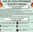 Администрация города Мурманска напоминает жителям и гостям о важности соблюдения правил пожарной безопасности в лесных массивах и лесопарковых зонах. - Город Мурманск