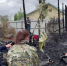 Страшная ночь в Подмосковье унесла жизни пятерых людей (видео) - Chehov-Vid.Ru