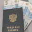 Обнародованы средние зарплаты ректоров двух курских вузов - Курские Известия