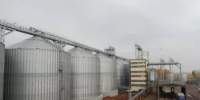Объем экспорта продукции АПК в Башкортостане вырос почти на треть - Министерство сельского хозяйства