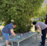 БЛАГОУСТРОЙСТВО ГОРОДА ПРОДОЛЖАЕТСЯ. НА ПЛОЩАДИ У ТЦ ПАССАЖ СОСТОЯЛСЯ СУББОТНИК. - Городской округ Вичуга