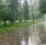 МЧС предупредило о сильном ливне в Нижегородской области - фото 1 - vGorodeN.Ru