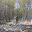 Нескольким районам Орловской области присвоены высокие классы пожарной опасности - Комсомольская Правда