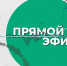 27 мая в прямом эфире руководитель Центра занятости населения Наталья Карпова - Администрация г. Мегиона