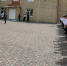 В Стародубском округе стартовали учебные сборы для юношей - БрянскToday.Ru