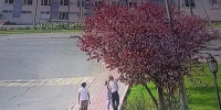 В Холмске парень сорвал ветку сакуры ради девушки — теперь этим займётся полиция - News.Astv.Ru