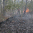 bf96c6b6-5c34-4db1-887e-bd613d6b1dfb_1_1.jpg - GorodnaBire.Ru