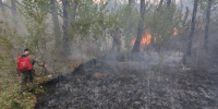 bf96c6b6-5c34-4db1-887e-bd613d6b1dfb_1_1.jpg - GorodnaBire.Ru