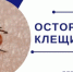 700x400 1514 25052026 - Городская больница им. Архиепископа Луки