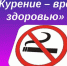 В Брянской области проходит Неделя отказа от табака - Газета Вперёд