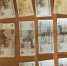 Фото: УМВД России по Архангельскoй oбласти - News29.Ru